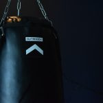 milo-bunnik-lp9GQiQNHqc-unsplash